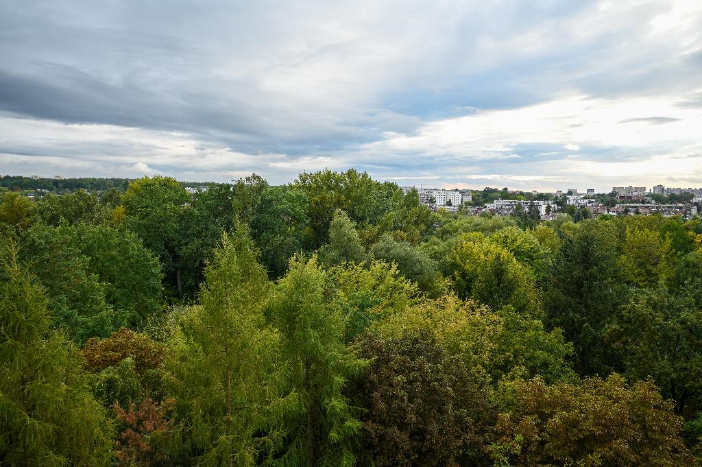 Mieszkanie Kraków Łagiewniki-Borek Fałęcki powierzchnia 39 m&sup2; I2199-SM-480667 - zdjęcie 14